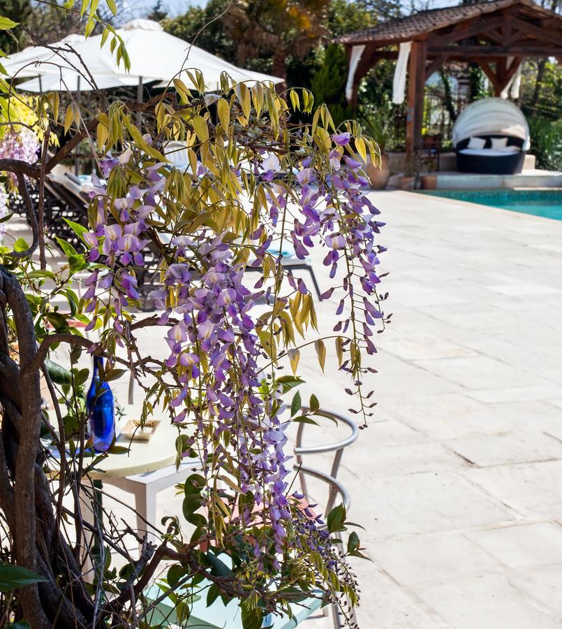 Le Mas Shabanou Bed and Breakfast Roquefort-les-Pins Exterior foto